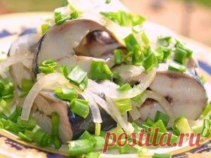 Селедка  в  яблочном  уксусе