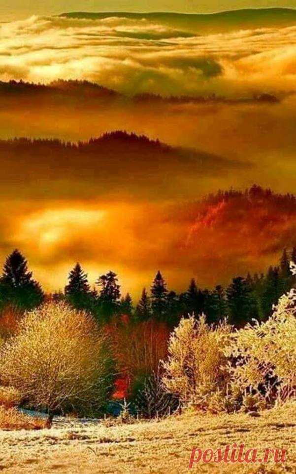 13419155_1019902764772809_584687716369178835_n.jpg (601×960)