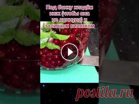 Компот из красной смородины на зиму! Мохито Просто, Быстро, Вкусно! Компот из красной смородины на зиму! Мохито Просто, Быстро, Вкусно! Уже созрела красная смородина? Не знаете как приготовить компот из красной смороди...