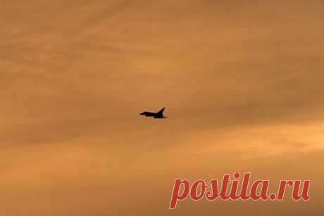 Больная раком пассажирка осталась с синяками по всему телу после полета в США