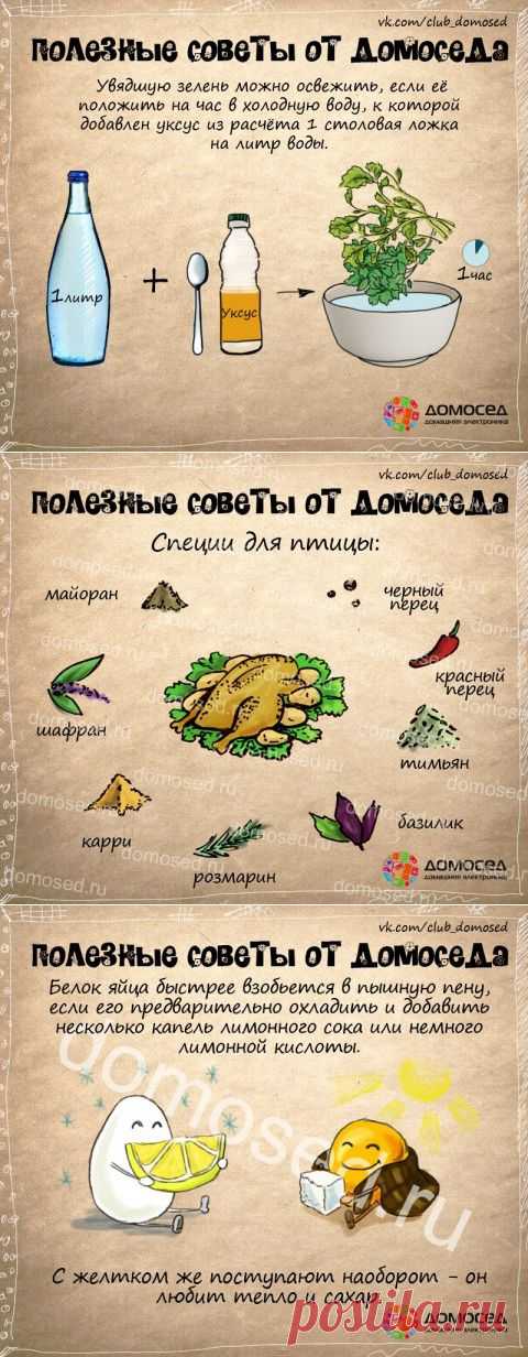 Полезные советы от Домоседа в картинках | Подружки
