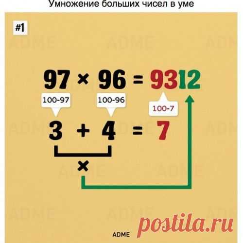 Такому в школе нас не учили. А жаль!