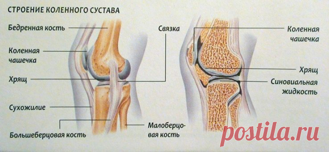 Суставная мышь коленного сустава - симптомы и лечение - классификация, медикаменты, причины возникновения, причины и диагностика