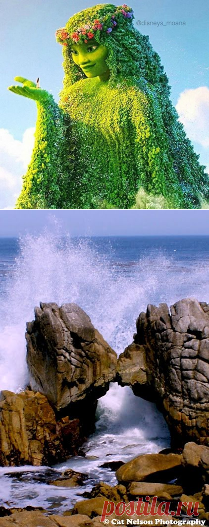 (338) Pinterest