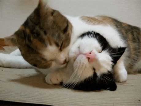 Популярное | Tumblr