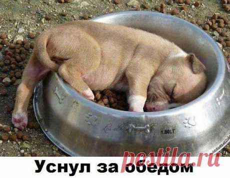 Аркадий Гурычев: хорошие мысли