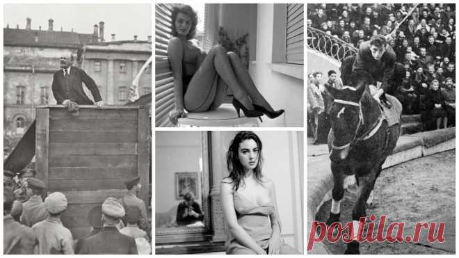 Очень интересные исторические фото | Чёрт побери Очень интересные исторические фото, которые обязательно надо увидеть   Наркобарон Пабло Эскобар и его сын Хуан позируют перед Белым домом в 1980-х  Электронный цифровой интегратор и вычислитель, четвёртый компьютер, построенный в истории, 1946 год  Молодой Усама бен Ладен на тренировке по дзюдо  Лев Троцкий в больнице г. Мехико после покушения, август 1940 года  Софи Лорен, Рим, 1955 год  Молодой клоун Юрий Никулин изображае...