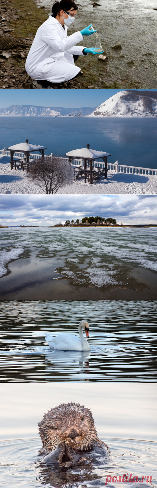 Пресноводные водоемы и природная вода – насколько важны они в гидросфере Земли? | Мир вокруг нас