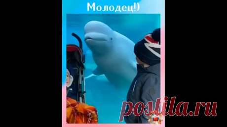 Сам себя развлекает и пугает посетителей