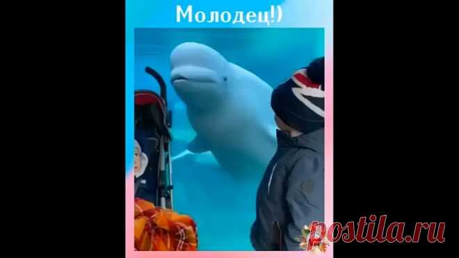 Сам себя развлекает и пугает посетителей