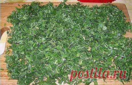 БОТВА МОРКОВИ.
Морковная ботва не менее полезна, чем корнеплод, - и для зрения, и для печени и т.д.
А всего-то и надо, что помыть ботву, порезать, как петрушку, высушить и добавлять по возможности во все первые блюда перед концом варки. На вкусе это никак не отразится, а польза несомненная.
Можно заваривать, как чай и пить - но это на любителя. А вот ботву (сочную, зелёную) от свёклы можно мелко порезать и заморозить. Зимой добавьте горсточку в щи, борщ или сварите лёгкий супчик из ботвы и вз