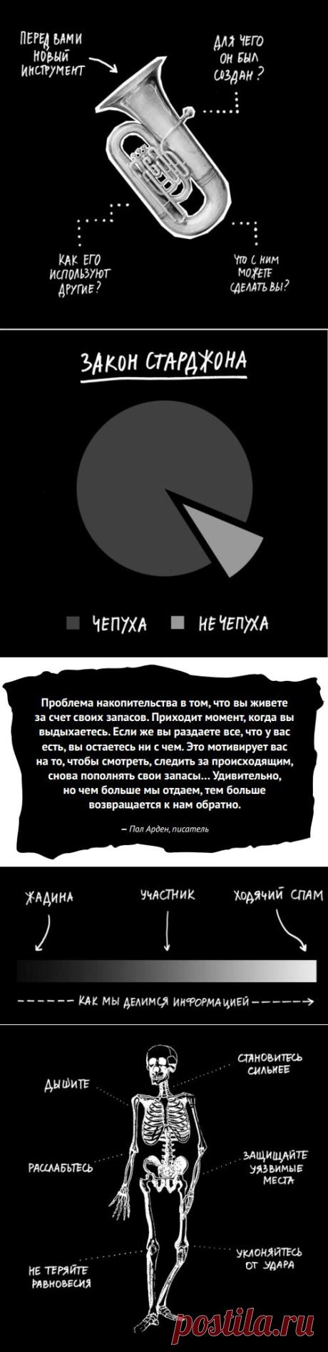 Как привлечь внимание | Полезные советы
