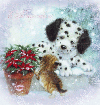 Наталья Лиса – Google+