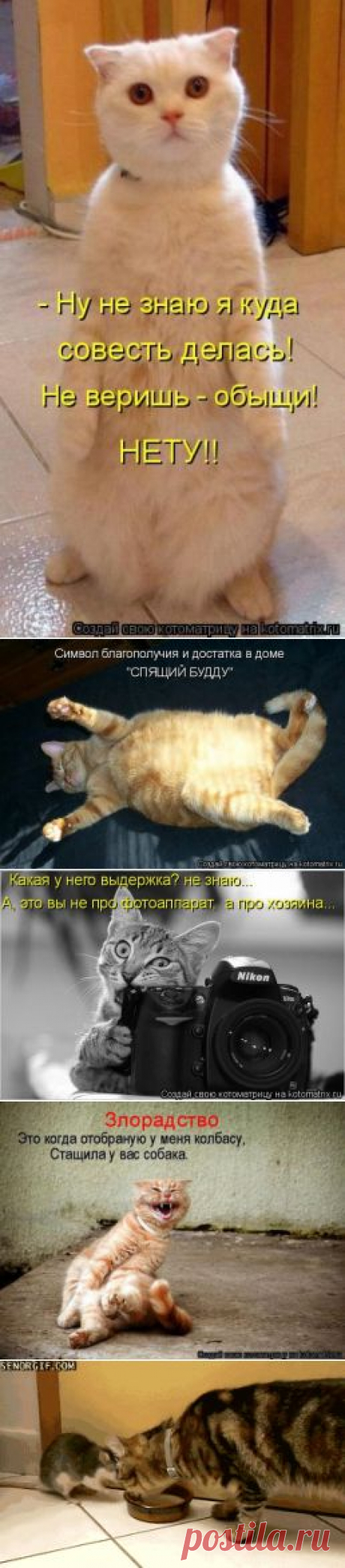 Очередная порция юмора и смеха / Болталка / Юмор