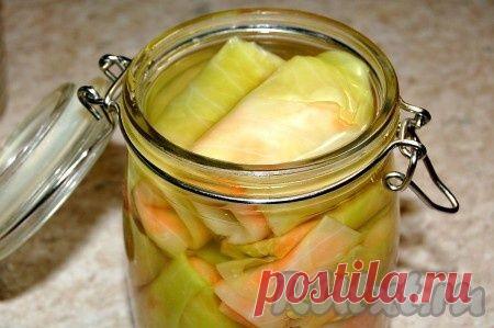 Квашеные голубцы