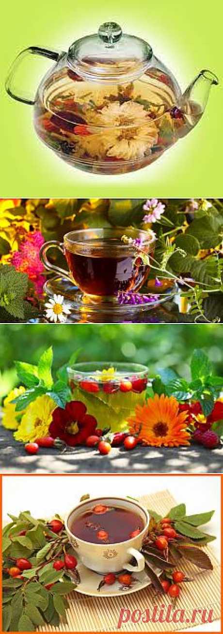 Витаминные сборы | Аптека под ногами