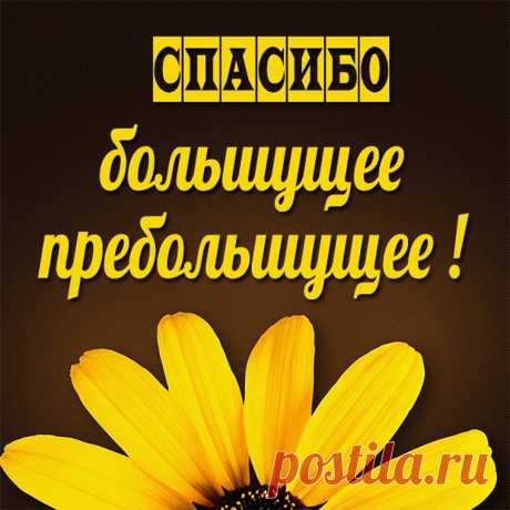 Спасибо большое (открытка 930): Бесплатные картинки &amp;#8226; Otkrytki.Top