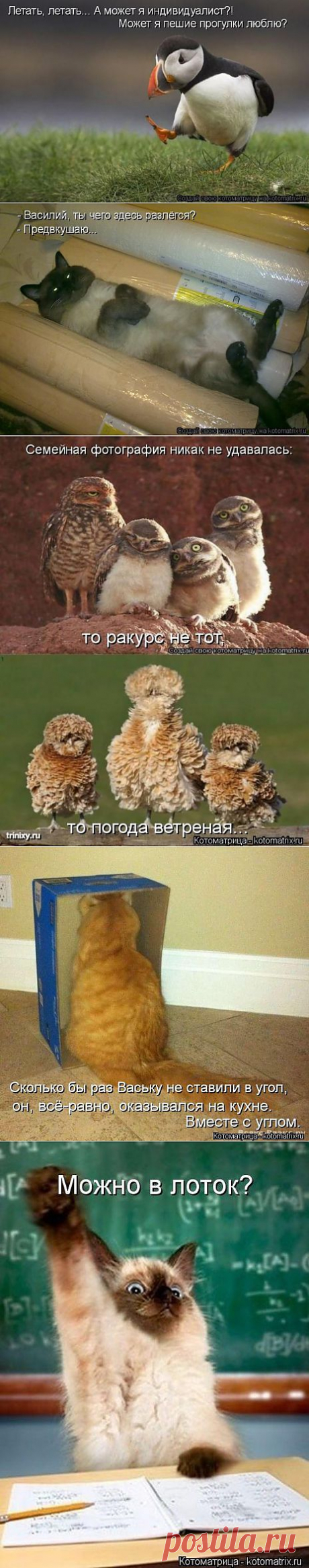 Давайте улыбнёмся))) | ОБОРЖАКА ;)