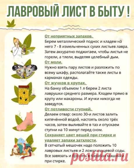 Лавровый лист в быту