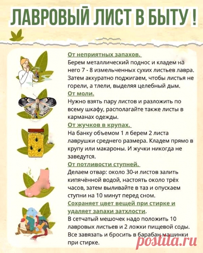 Лавровый лист в быту