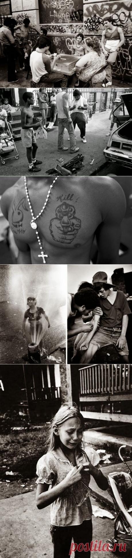 Документальные фотографии Стивена Шеймса (Stephen Shames) — Фотоискусство