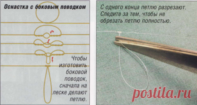 Привязываем поводок: 11 тыс изображений найдено в Яндекс.Картинках
