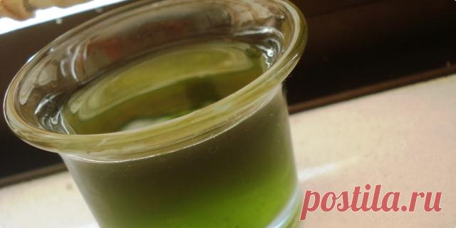 secer/sladilo od stevije — Coolinarika