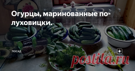 Огурцы, маринованные по-луховицки. Где умеют правильно мариновать и солить огурцы, как не в Луховицах - огуречной столице!