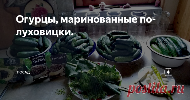 Огурцы, маринованные по-луховицки. Где умеют правильно мариновать и солить огурцы, как не в Луховицах - огуречной столице!
