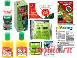 Народные средства защиты растений | Мир цветовода