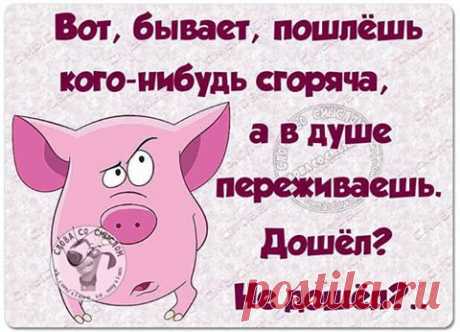 СМЕХОТЕРАПИЯ !!!