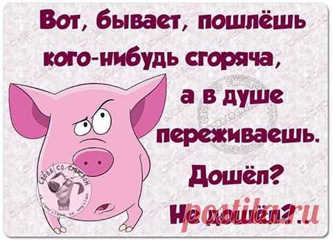 СМЕХОТЕРАПИЯ !!!