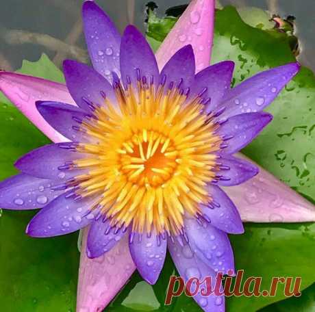 Редактировать описание