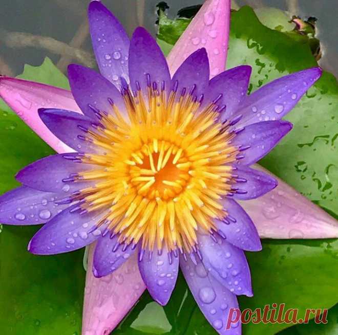 Редактировать описание