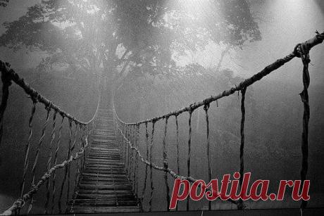 Не стоит возвращаться в прошлое, там уже никого нет.