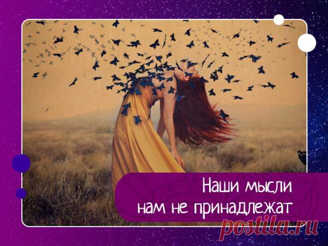 Наши мысли нам не принадлежат