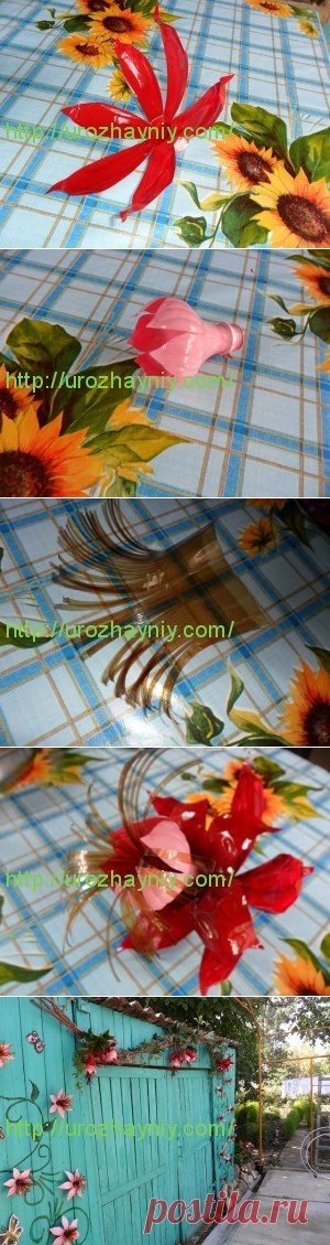 Фуксия из пластиковых бутылок.