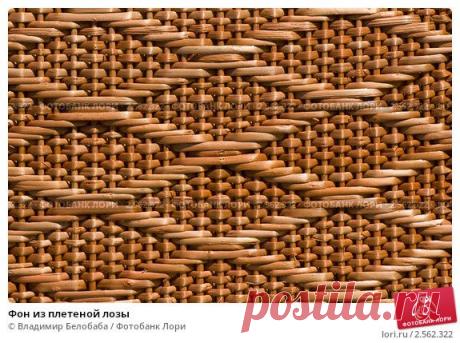 Фон из плетеной лозы; фото № 2562322, фотограф Владимир Белобаба. Фотобанк Лори — Продажа фотографий, иллюстраций и изображений, видео для СМИ, рекламы и дизайна по низким ценам