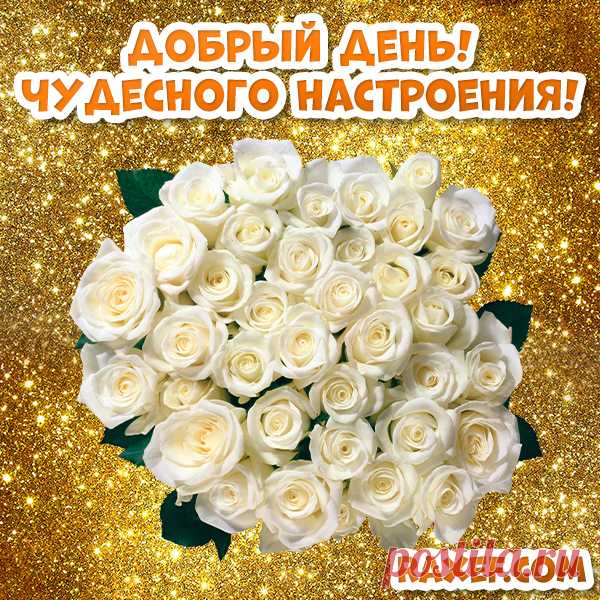 Доброго дня и хорошего настроения! Открытки женщине! Картинки с розами, с цветами! В этом мире есть сотни и тысячи языков, но есть...  Есть всего лишь один язык - язык Любви!

Так, пусть же эта весна принесет Вам только радость, только улыбки и только... Любовь! 
Пусть этот день будет для Вас особенным! Ведь он - ваш день, а значит, в этот день все должно быть особенным и волшебным! И пускай, сегодня Вы будете самой-самой красивой, самой нежной, самой прекрасной - самой-пресамой! И пусть эти с…