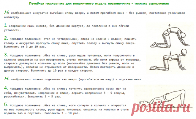 Лечебная гимнастика для позвоночника и суставов