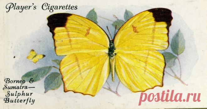 Декупаж в Кургане