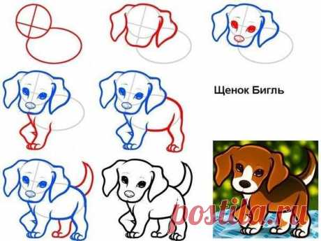 Новости