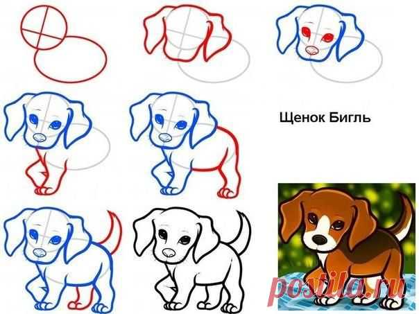 Новости