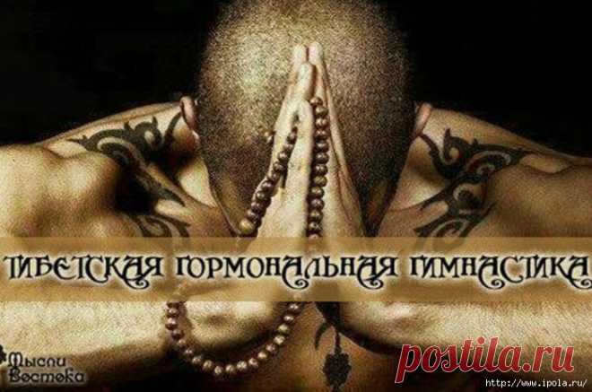 Тибетская гормональная гимнастика.