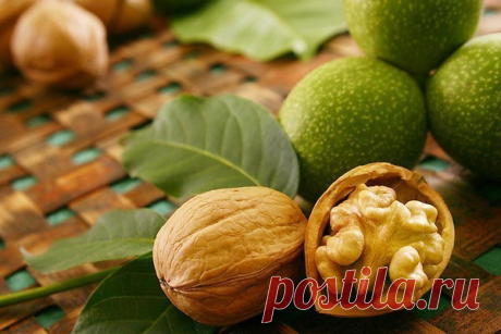 Рецепт молодости

Все наверное, слышали про пророщенную пшеницу. За сутки прорастания в воде жизненная сила пшеницы увеличивается в 100 раз.
Но мало кто знает об уникальнейшем рецепте пророщенного грецкого ореха, жизненная сила которого за 2 недели прорастания в воде увеличивается в 1000 раз!
1 кг неочищенных грецких орехов залить холодной водой. Вода должна покрывать орехи.
Показать полностью…