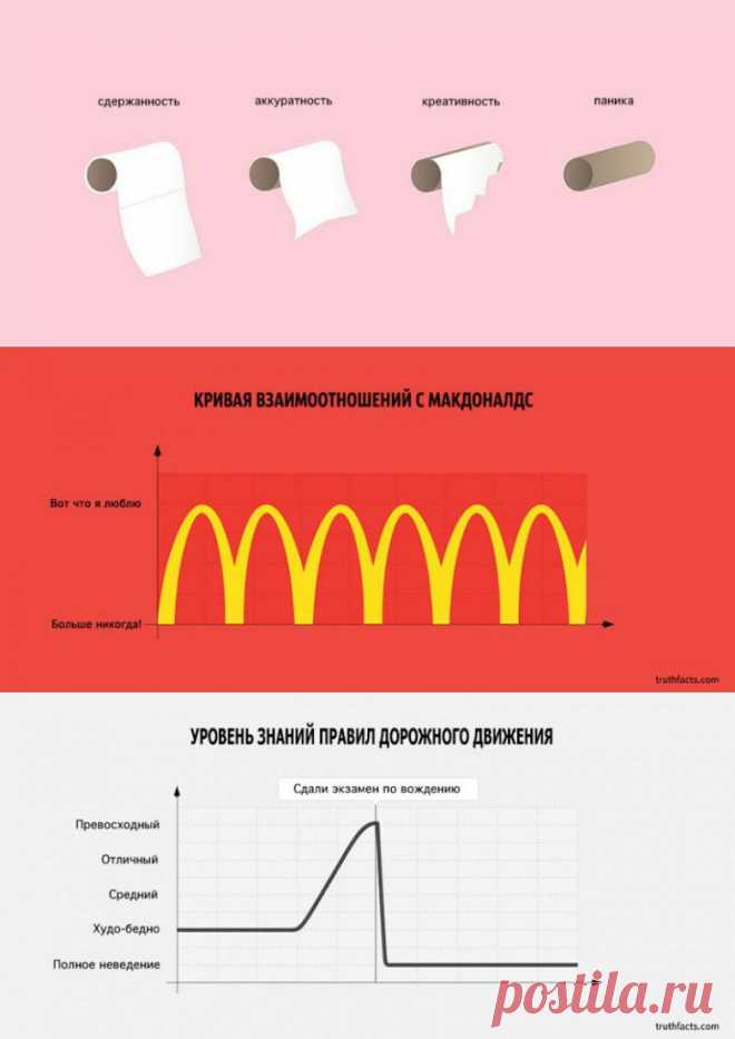 Суть нашей жизни / Научный хит