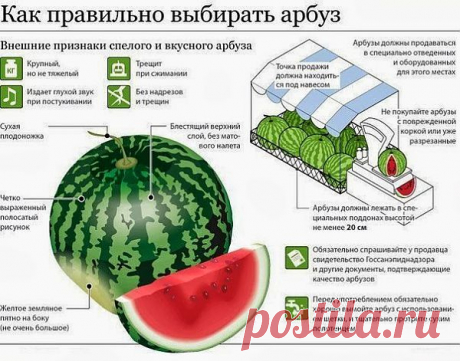 Как правильно  выбрать арбуз?