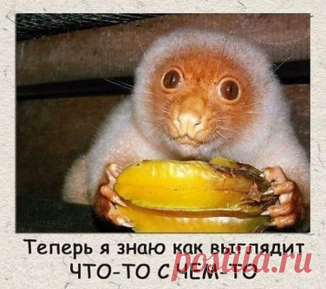 ЛУЧШИЙ ЖЕНСКИЙ ЮМОР