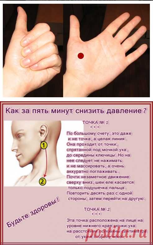 Как снизить высокое давление и избежать инфаркта... | Познавательный сайт ,,1000 мелочей"