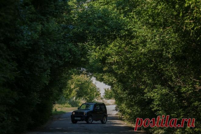 Летние покатушки по Лысогорскому району Нашли новый зеленый тоннель по дороге, об одном таком уже писала раньше. Учитывая, что жара была неделю назад убийственная, с удовольствием напились из Студеновского родника: И постояли в теньке у речушки Латрык, которую этот родник питает, наблюдая за стрекозами: Село Золотая гора. Судя по виду…